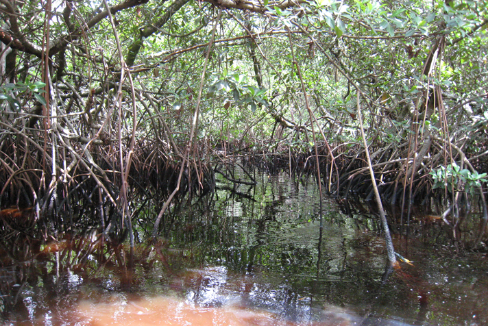 Everglades, Florida